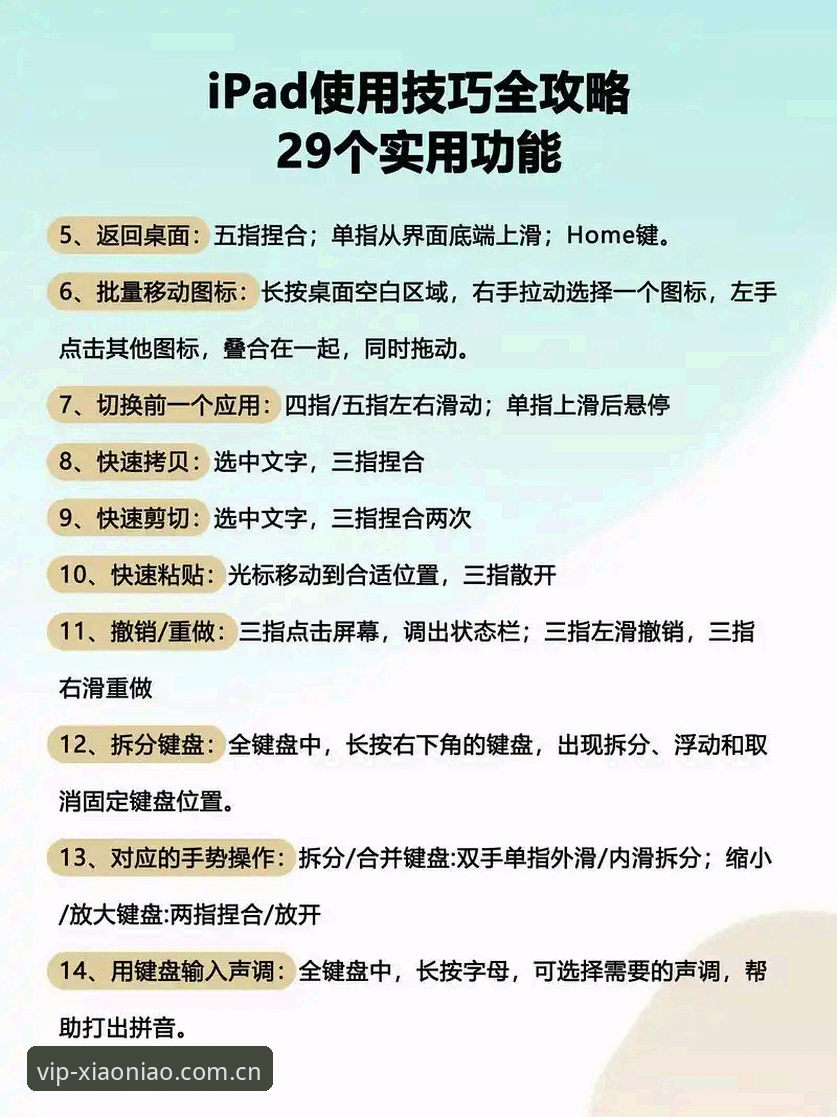 小鸟平台登录与战况追踪操作教程：从入门到精通
