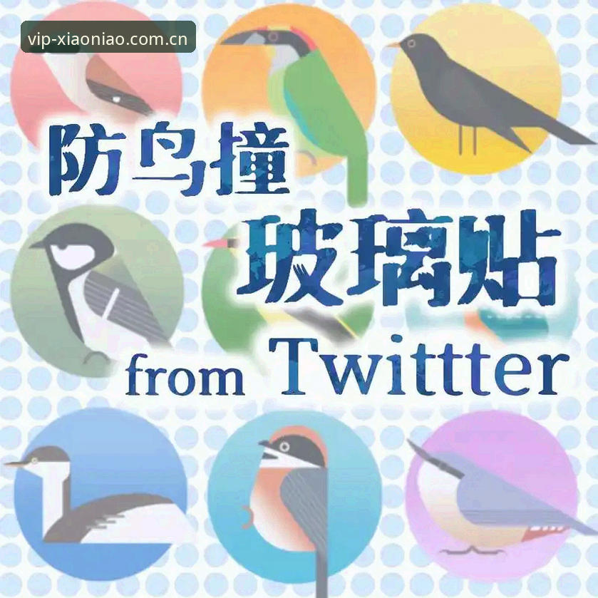 小鸟平台APK下载安全吗？三大关键点帮你判断风险