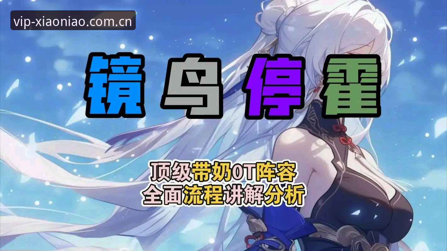小鸟平台登录功能与最新动态全面解析：从下载到实战的实用指南