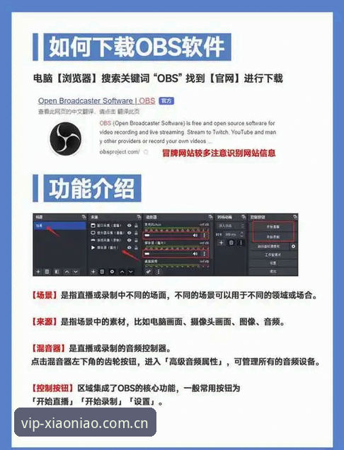 资深用户分享小鸟平台评价怎么下载：从下载到使用的实战经验